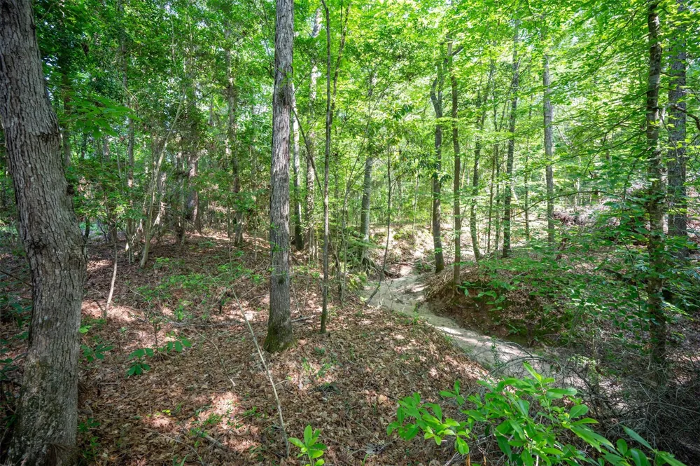 1068 County Road 3200 Colmesneil, TX 75938