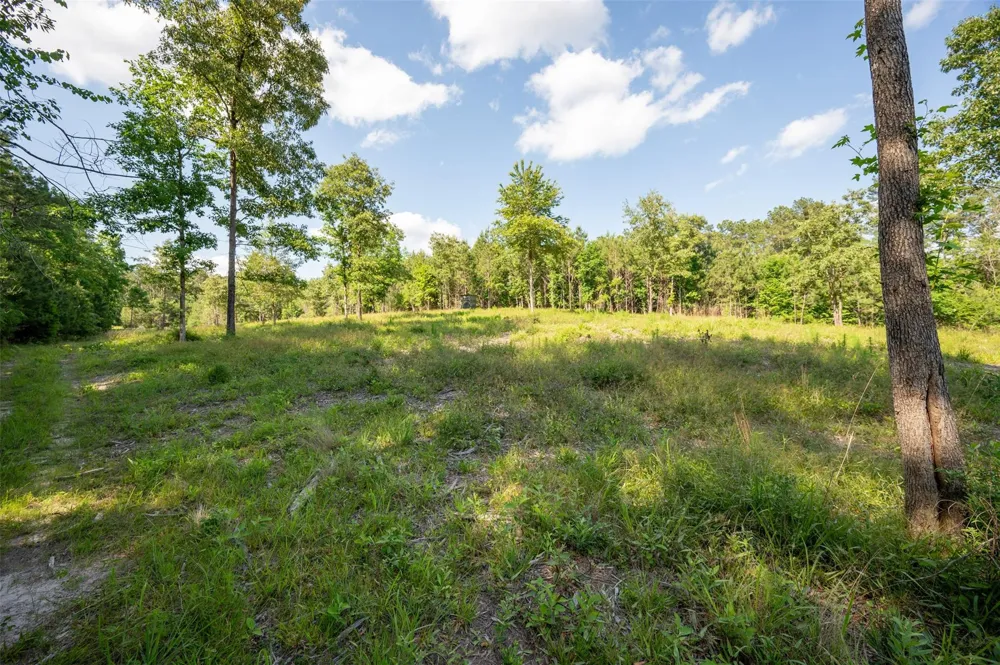 1068 County Road 3200 Colmesneil, TX 75938