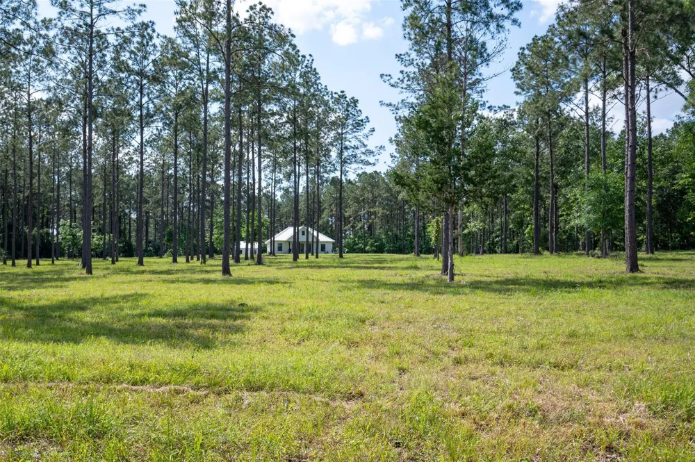1068 County Road 3200 Colmesneil, TX 75938