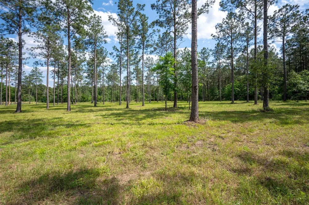 1068 County Road 3200 Colmesneil, TX 75938