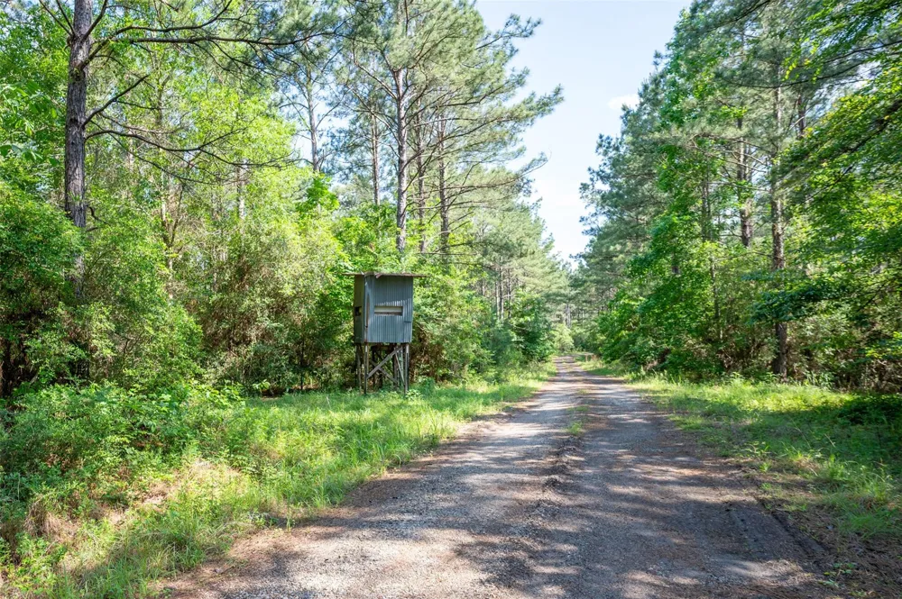 1068 County Road 3200 Colmesneil, TX 75938