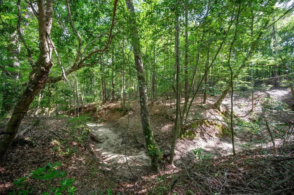 1068 County Road 3200 Colmesneil, TX 75938