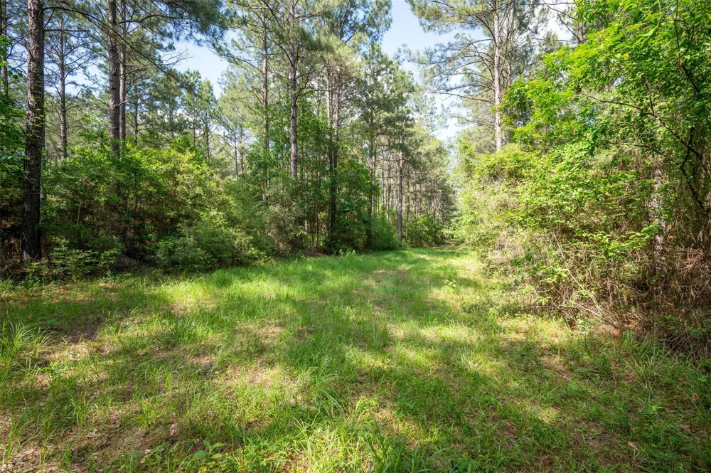 1068 County Road 3200 Colmesneil, TX 75938