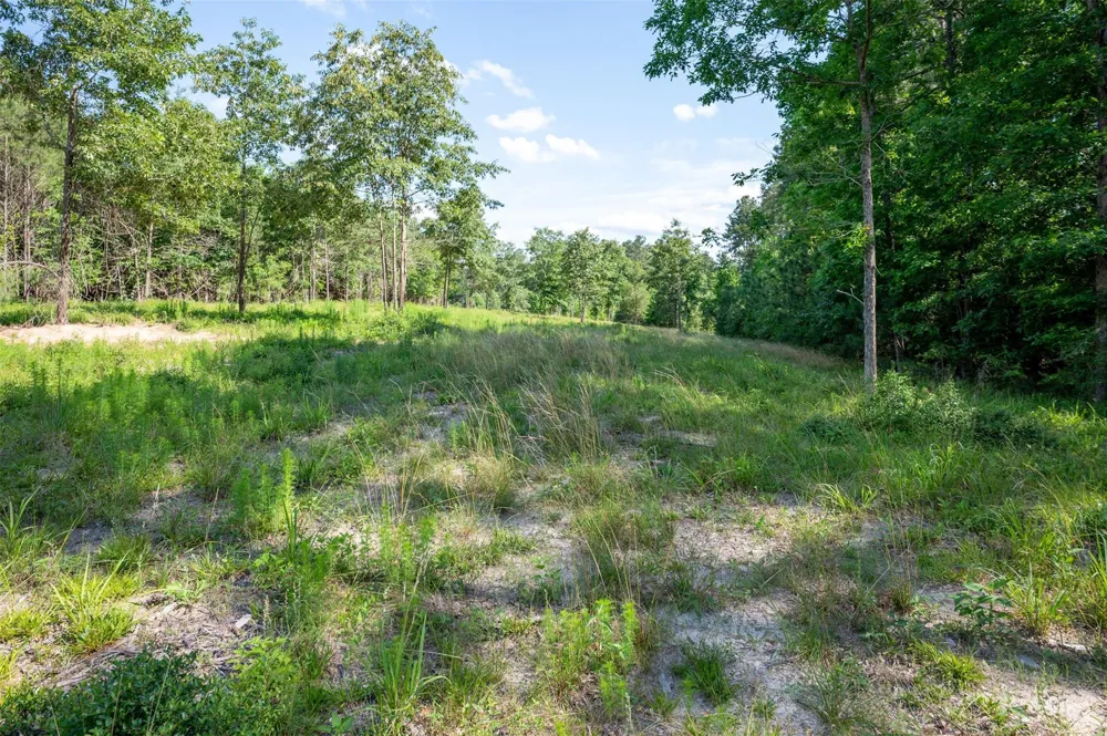 1068 County Road 3200 Colmesneil, TX 75938