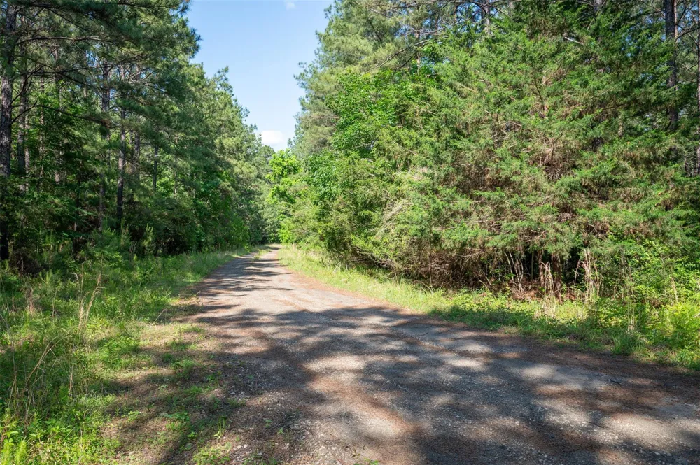 1068 County Road 3200 Colmesneil, TX 75938