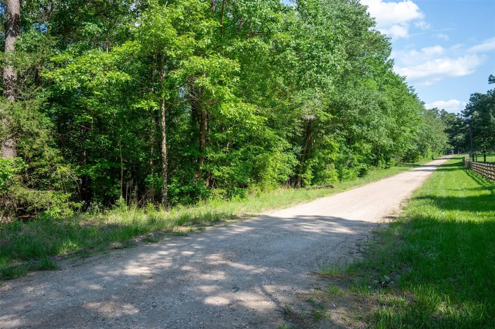 1068 County Road 3200 Colmesneil, TX 75938