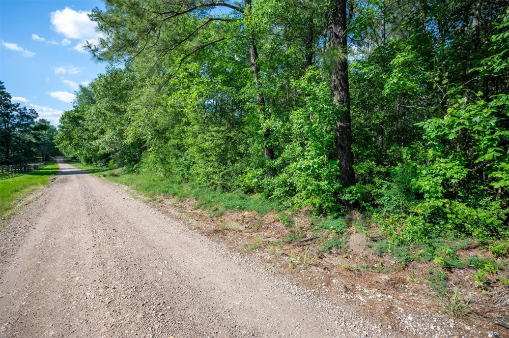 1068 County Road 3200 Colmesneil, TX 75938