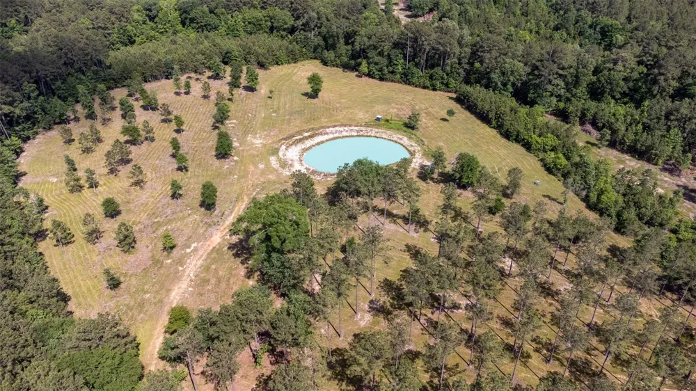 1068 County Road 3200 Colmesneil, TX 75938