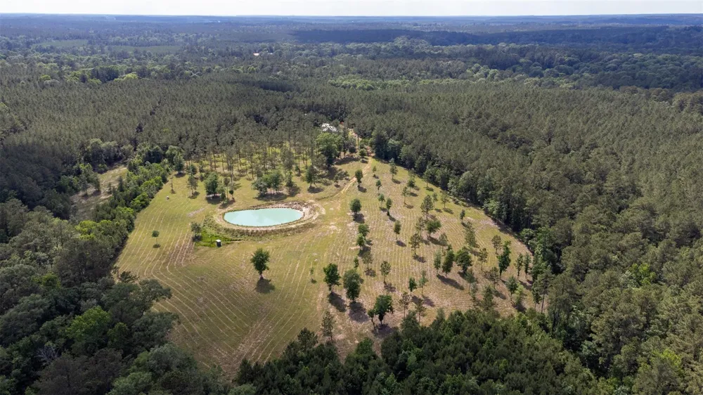 1068 County Road 3200 Colmesneil, TX 75938