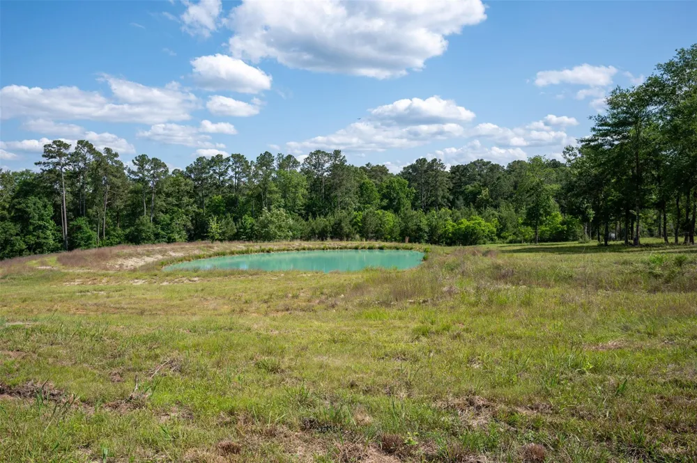 1068 County Road 3200 Colmesneil, TX 75938