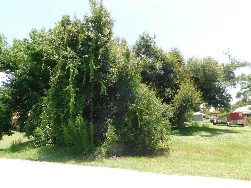 5212 PALEO PINES CIRCLE Fort Pierce, FL 34951