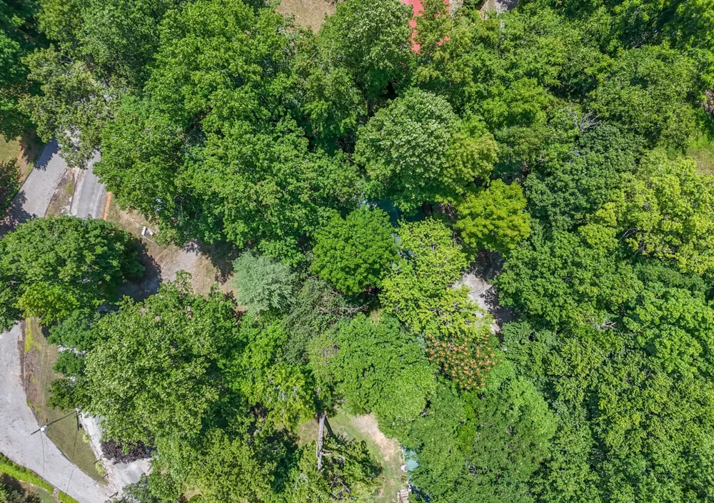 1908 Potts Camp Rd Smithville, TN 37166