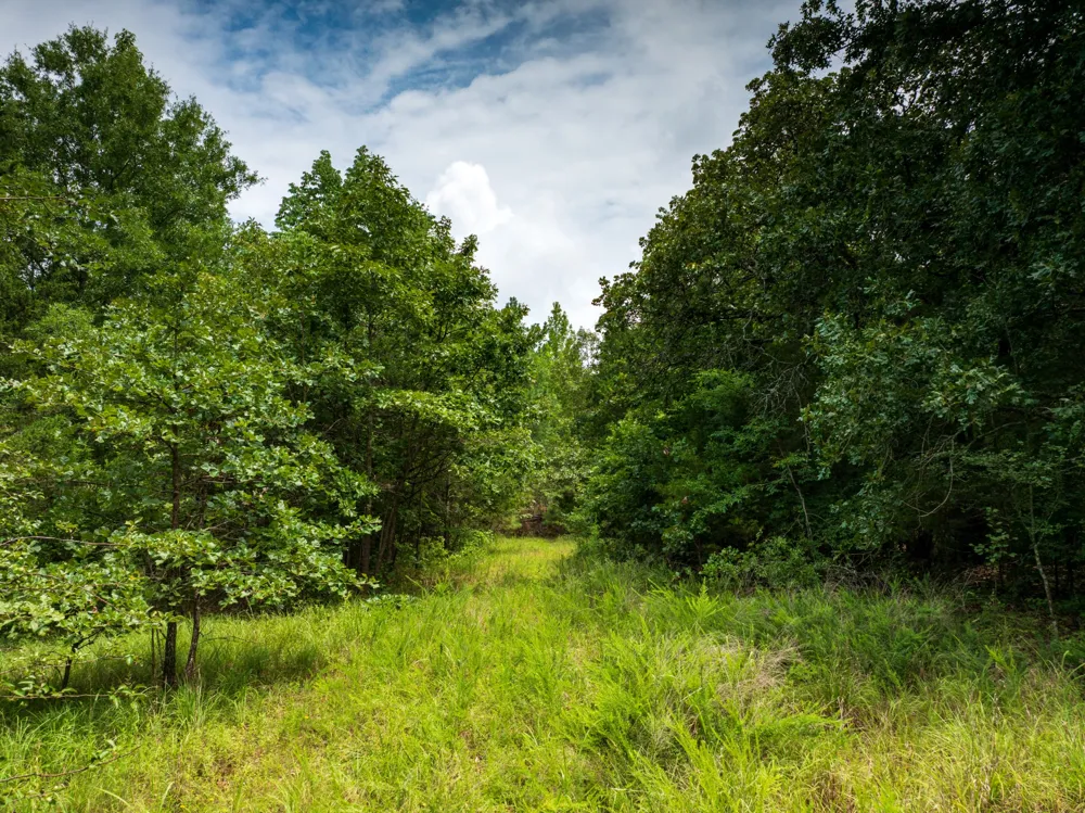 0 Highway 64 E Selmer, TN 38375