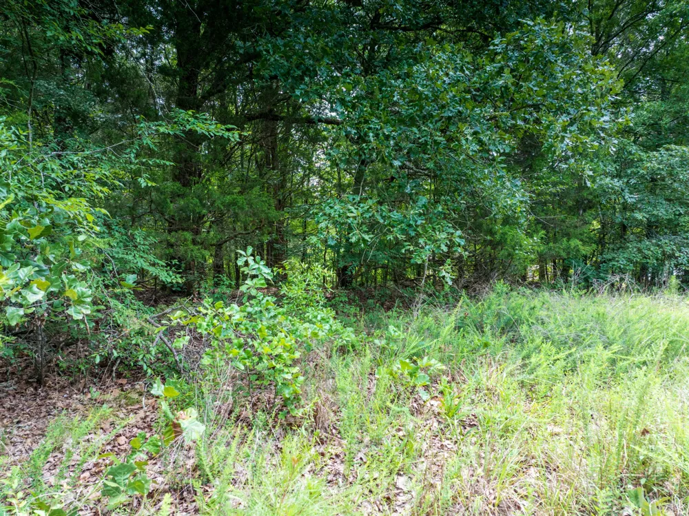 0 Highway 64 E Selmer, TN 38375