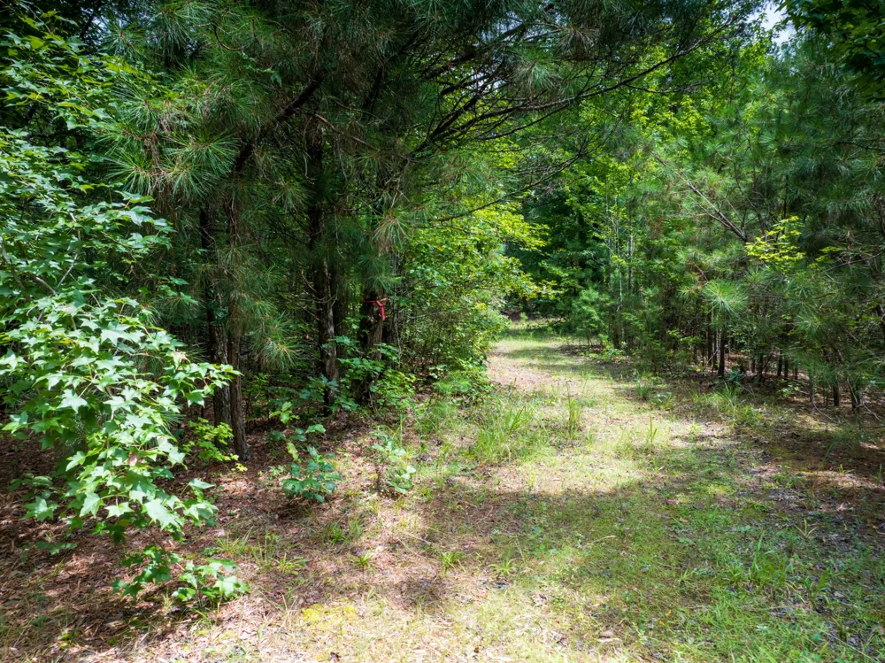 0 Highway 64 E Selmer, TN 38375