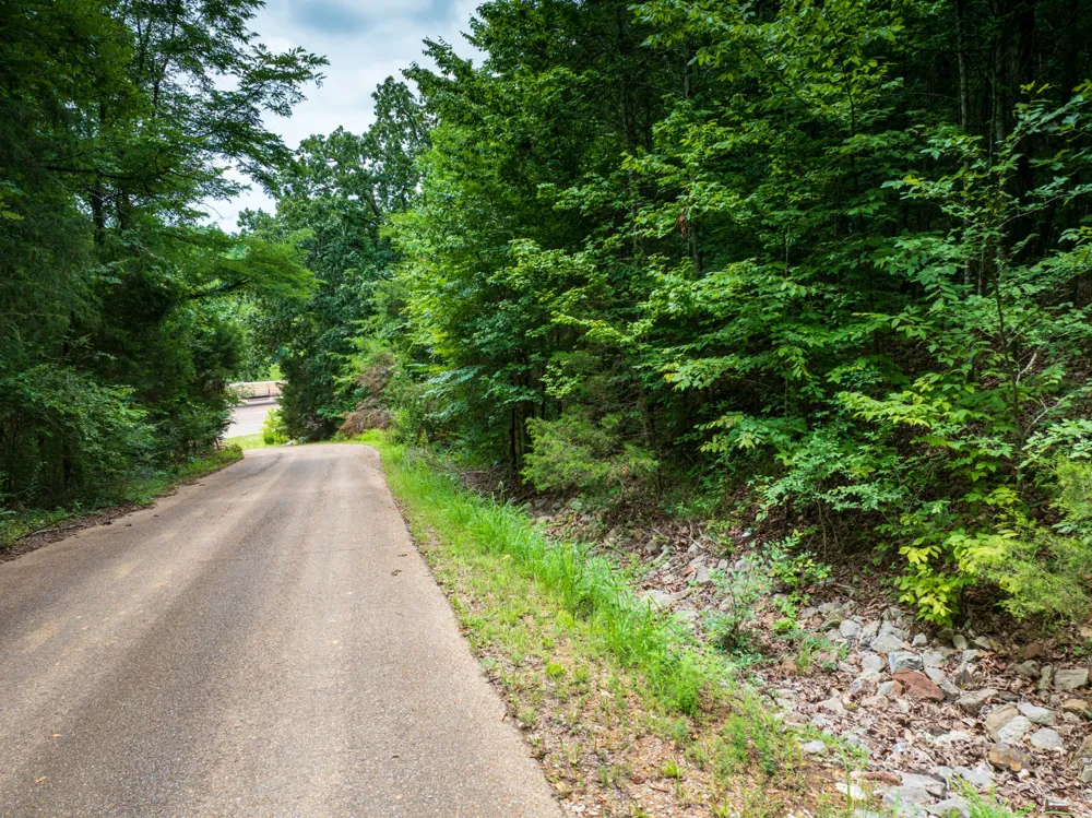 0 Highway 64 E Selmer, TN 38375