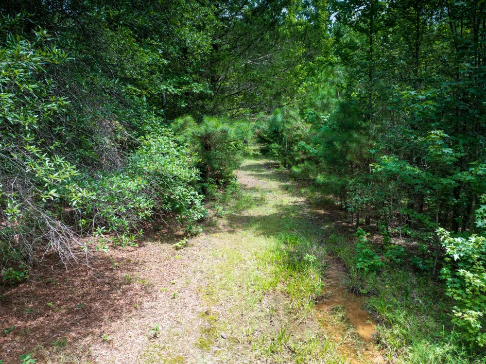 0 Highway 64 E Selmer, TN 38375