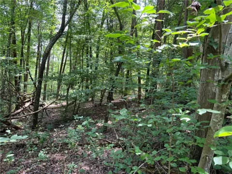 0 Lavender Trail