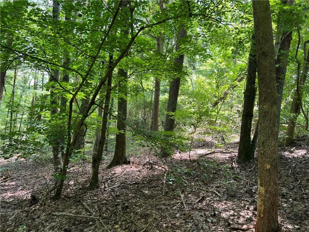 0 Lavender Trail Rome, GA 30165