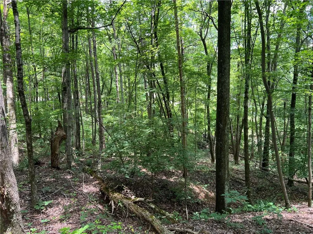 0 Lavender Trail Rome, GA 30165