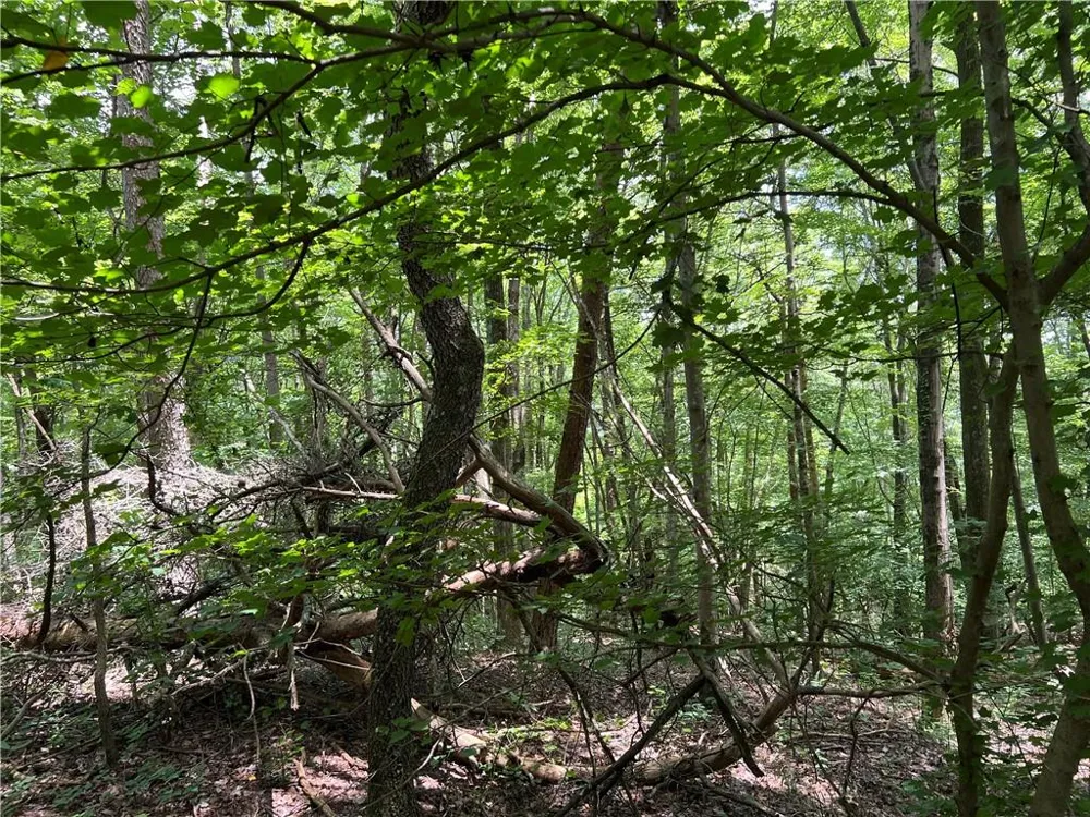 0 Lavender Trail Rome, GA 30165