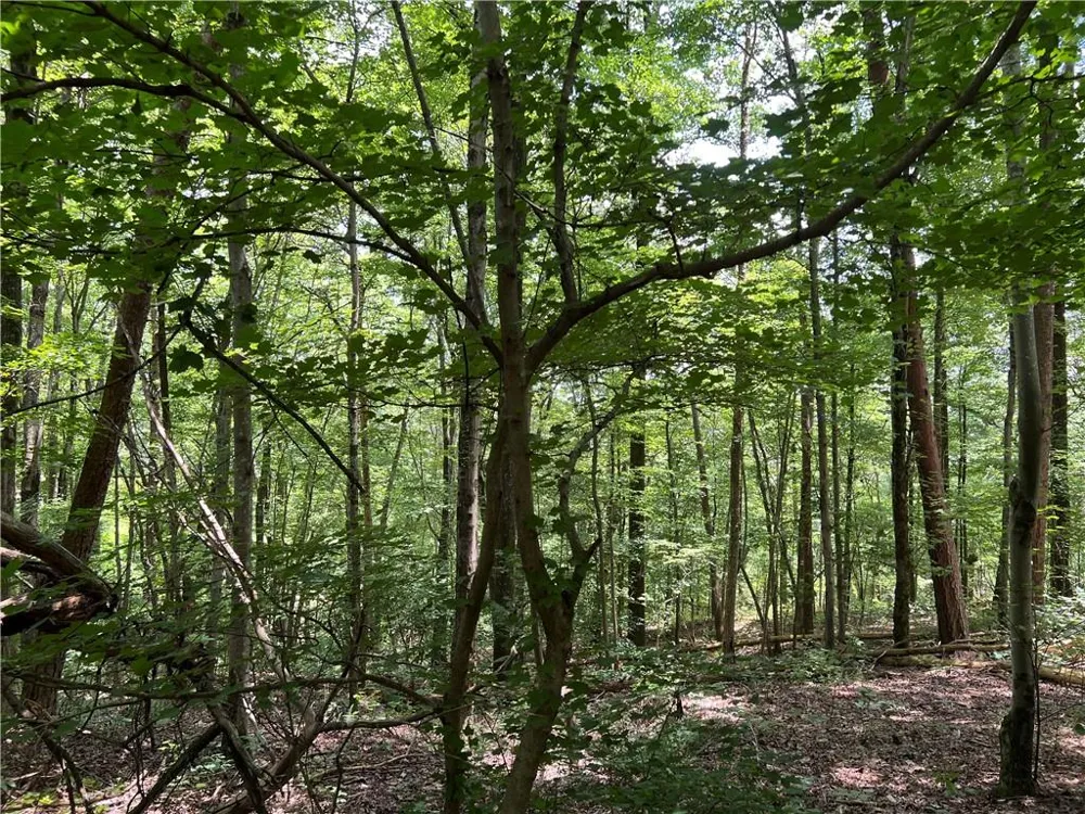 0 Lavender Trail Rome, GA 30165