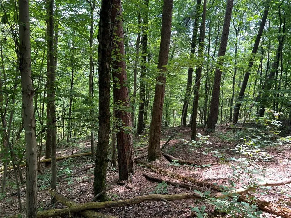 0 Lavender Trail Rome, GA 30165