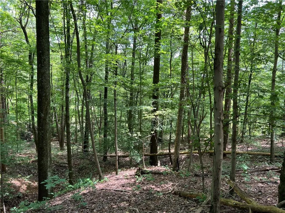 0 Lavender Trail Rome, GA 30165
