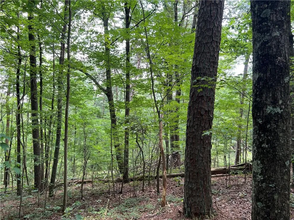 0 Lavender Trail Rome, GA 30165