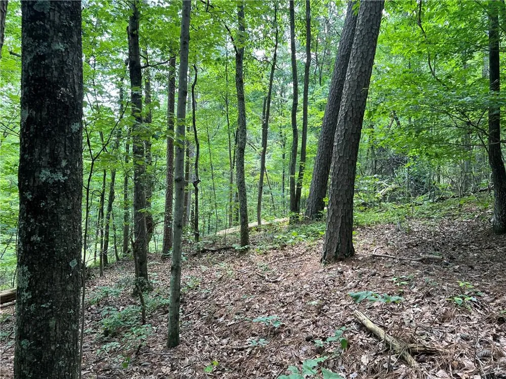 0 Lavender Trail Rome, GA 30165
