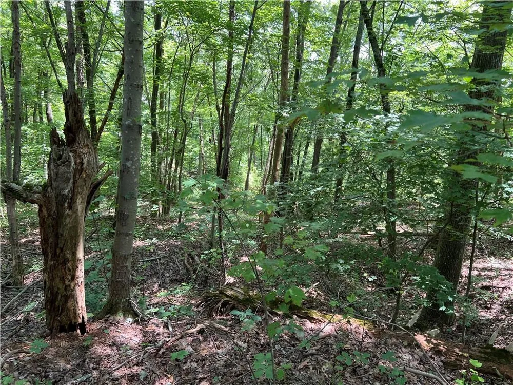 0 Lavender Trail Rome, GA 30165