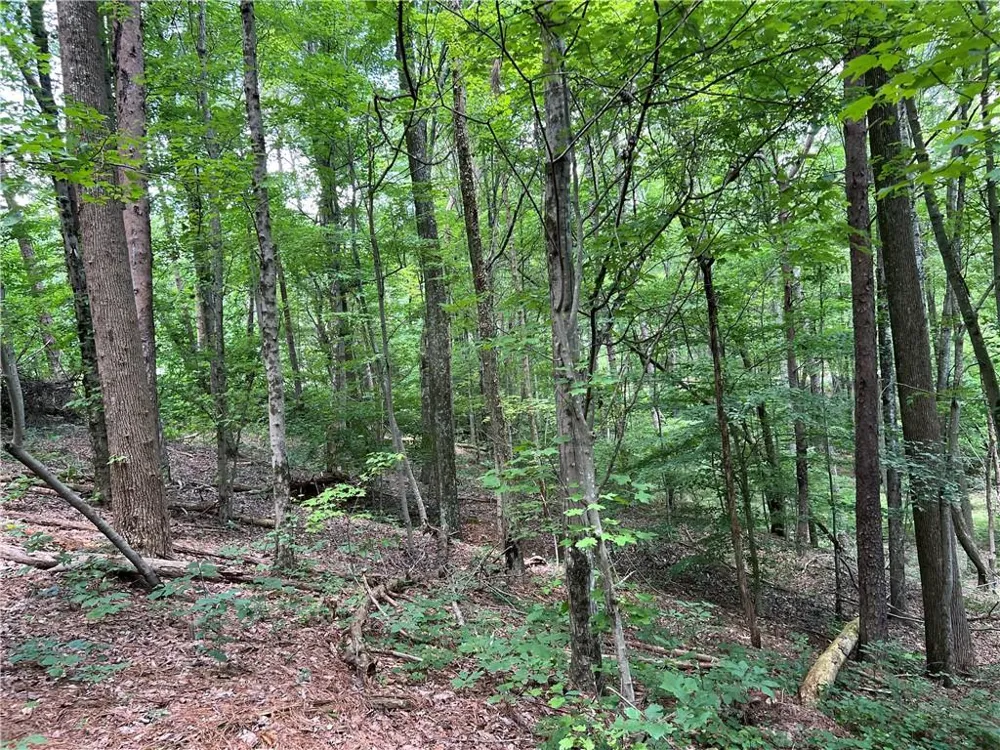 0 Lavender Trail Rome, GA 30165