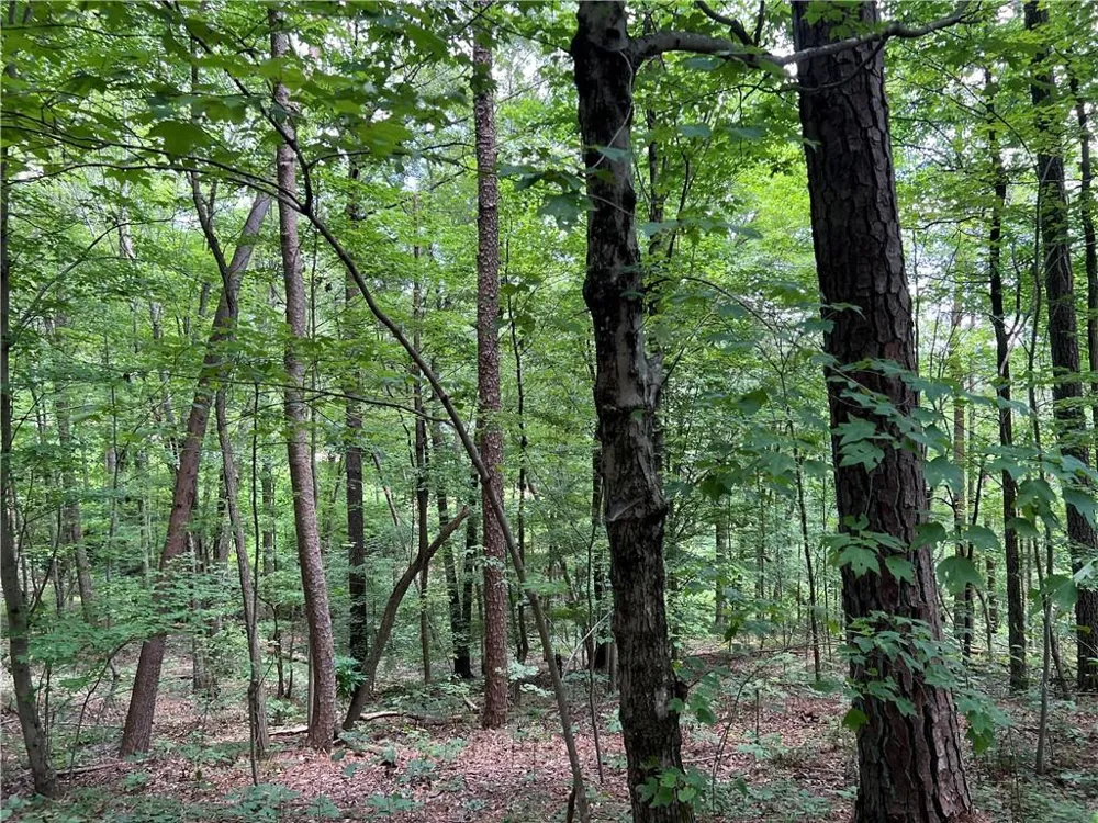 0 Lavender Trail Rome, GA 30165