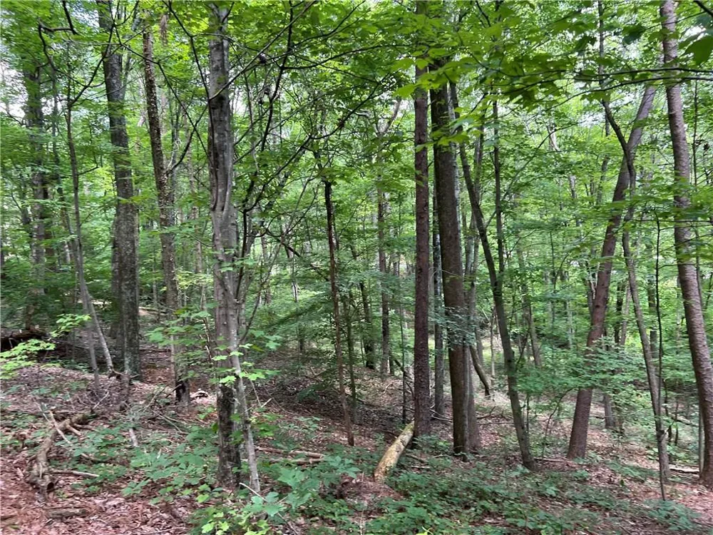 0 Lavender Trail Rome, GA 30165