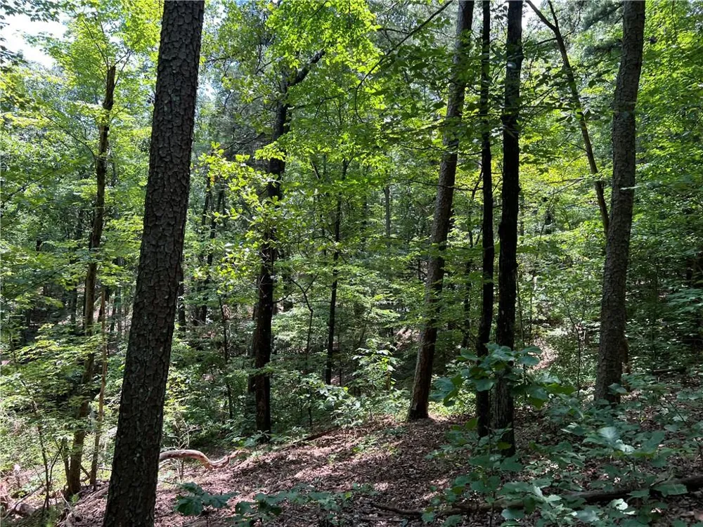 0 Lavender Trail Rome, GA 30165