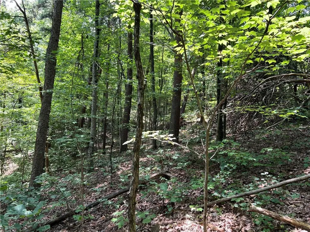 0 Lavender Trail Rome, GA 30165