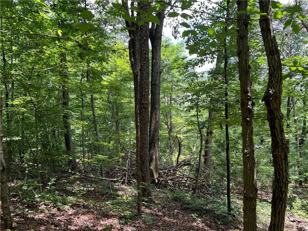 0 Lavender Trail Rome, GA 30165