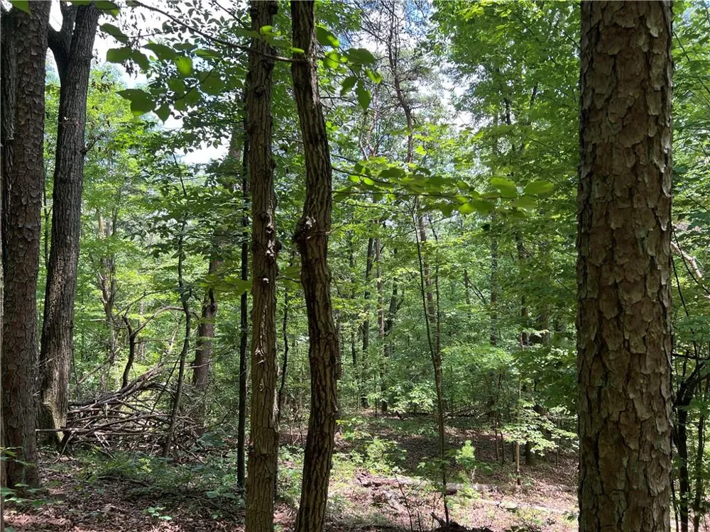 0 Lavender Trail Rome, GA 30165