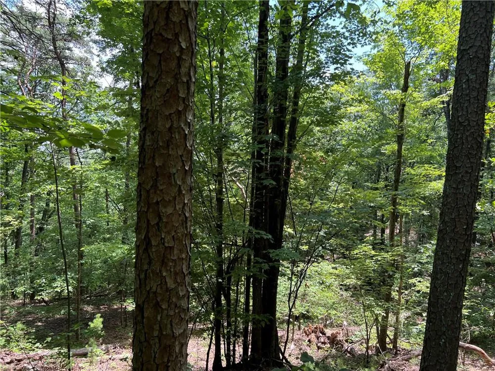 0 Lavender Trail Rome, GA 30165