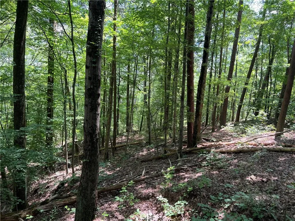 0 Lavender Trail Rome, GA 30165