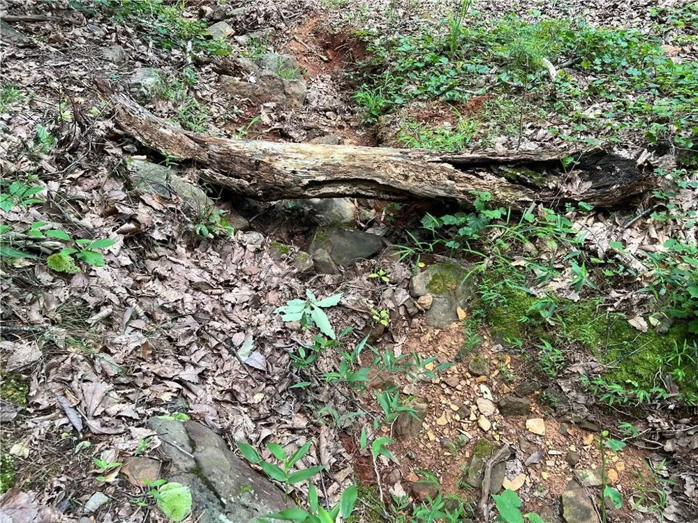 0 Lavender Trail Rome, GA 30165