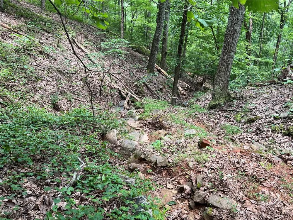 0 Lavender Trail Rome, GA 30165