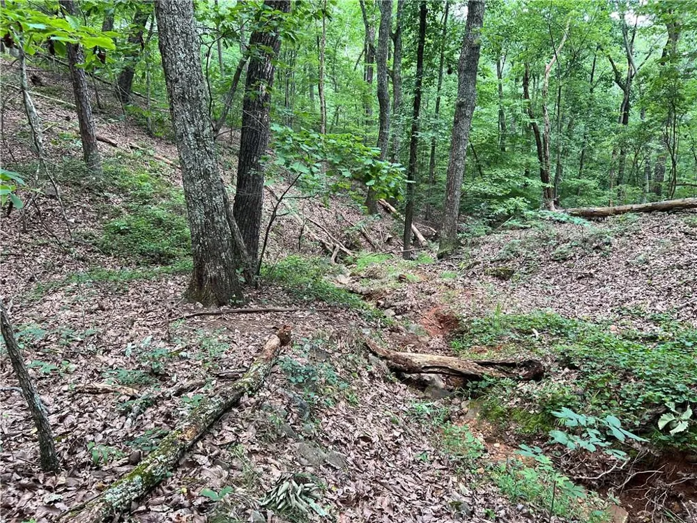 0 Lavender Trail Rome, GA 30165