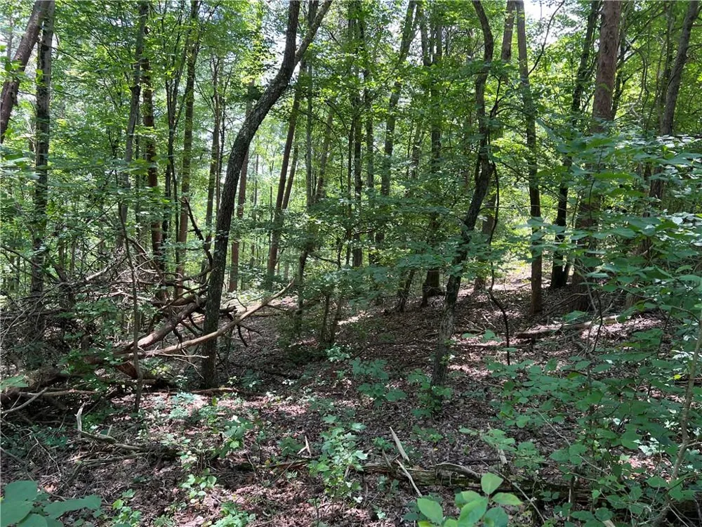 0 Lavender Trail Rome, GA 30165