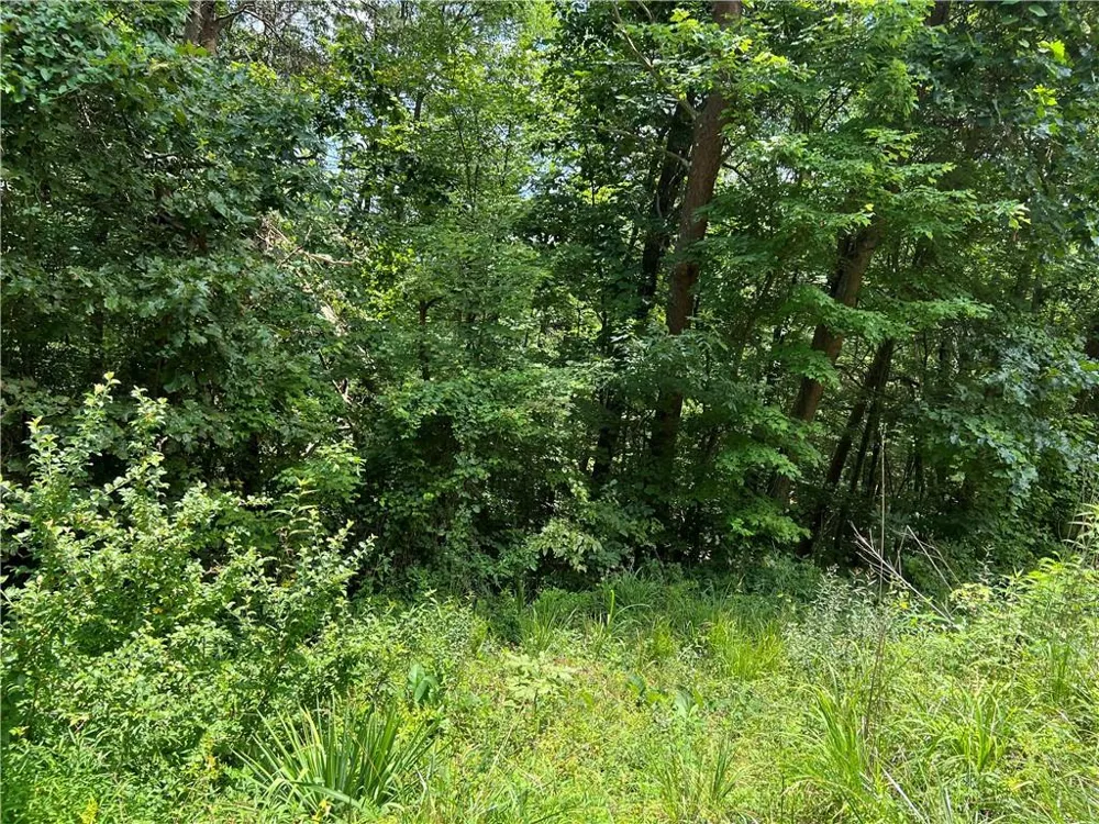 0 Lavender Trail Rome, GA 30165