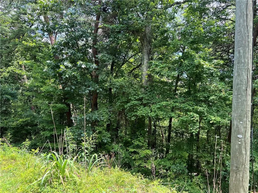 0 Lavender Trail Rome, GA 30165