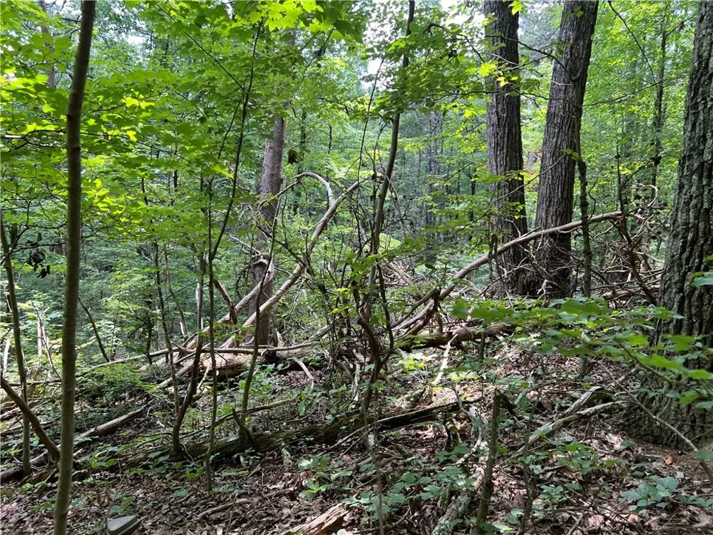 0 Lavender Trail Rome, GA 30165