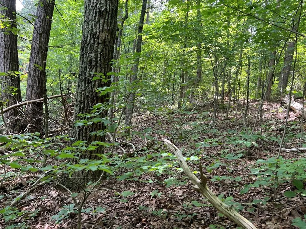 0 Lavender Trail Rome, GA 30165