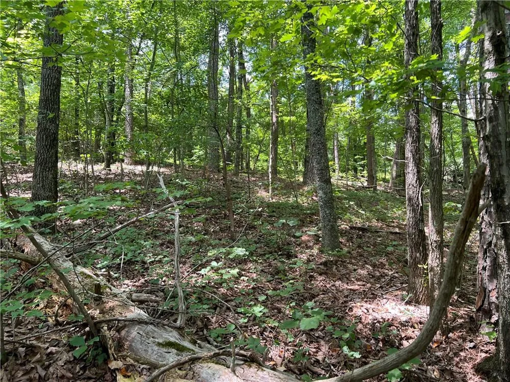 0 Lavender Trail Rome, GA 30165
