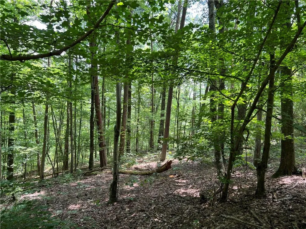 0 Lavender Trail Rome, GA 30165